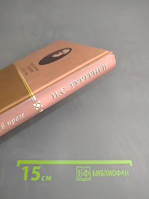 Стихотворения в прозе