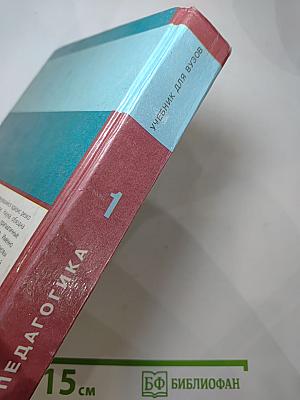 Педагогика. Новый курс. В 2 книгах. Книга 1: Общие основы. Процесс обучения. Учебник для вузов.