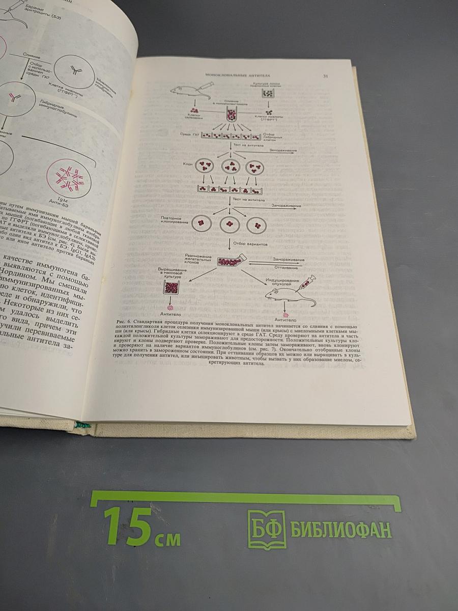 Молекулы и клетки. Выпуск седьмой