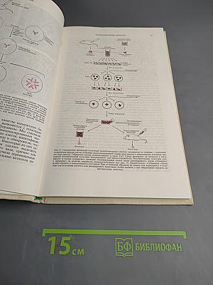 Молекулы и клетки. Выпуск седьмой