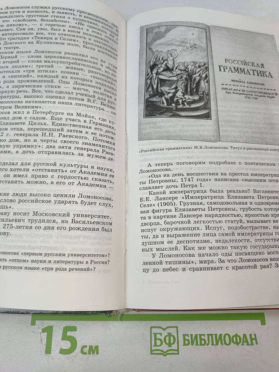 Литература 9 класс
