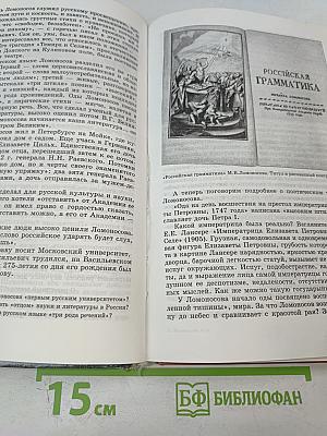 Литература 9 класс