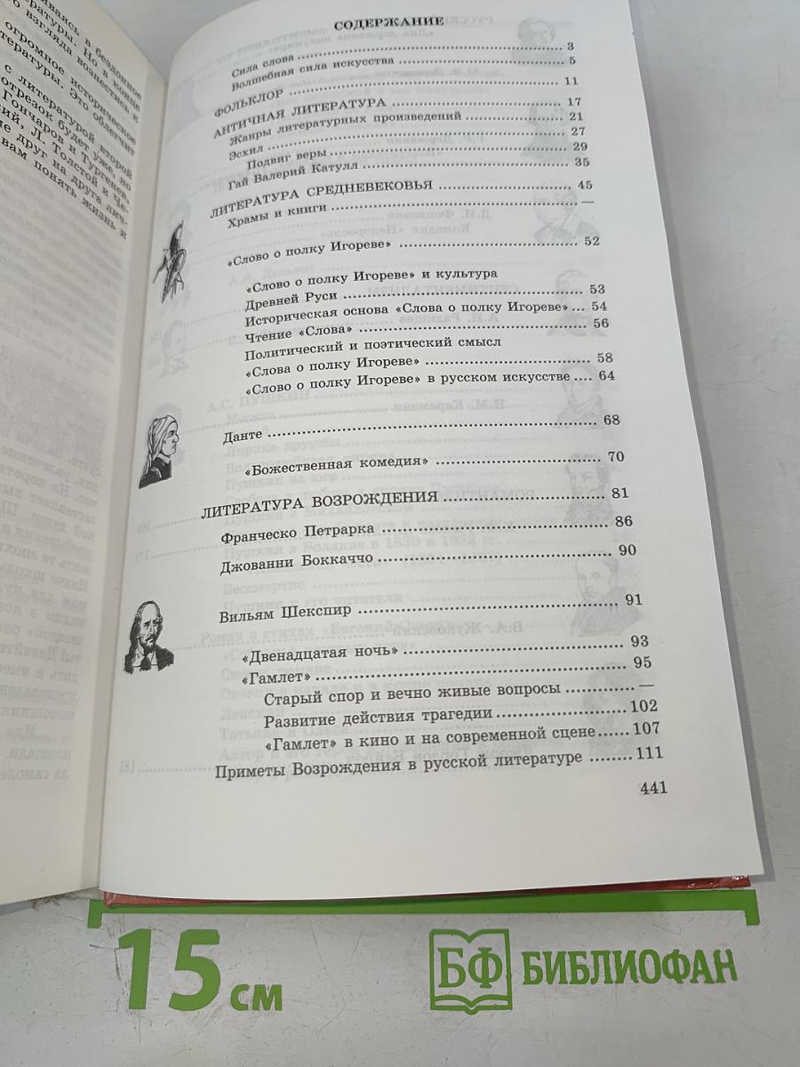 Литература 9 класс