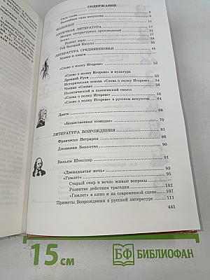 Литература 9 класс
