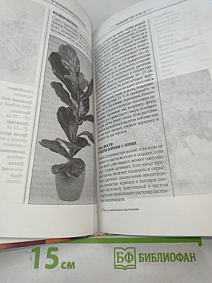 Умелица. Уход за комнатными растениями