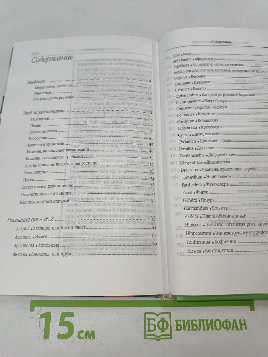 Умелица. Уход за комнатными растениями