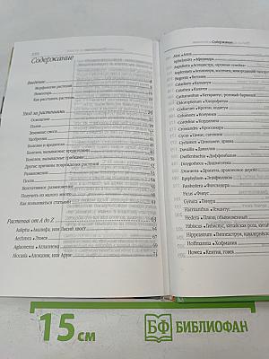 Умелица. Уход за комнатными растениями