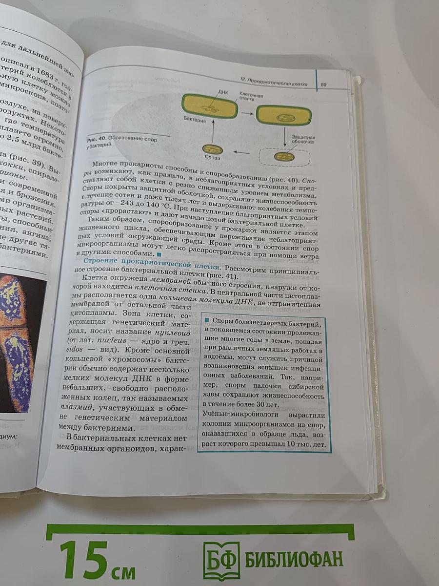 Биология. Общая биология. 10 класс. Базовый уровень