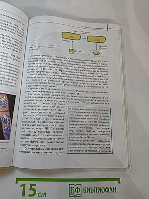 Биология. Общая биология. 10 класс. Базовый уровень