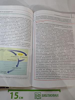 Биология. Общая биология. 10 класс. Базовый уровень