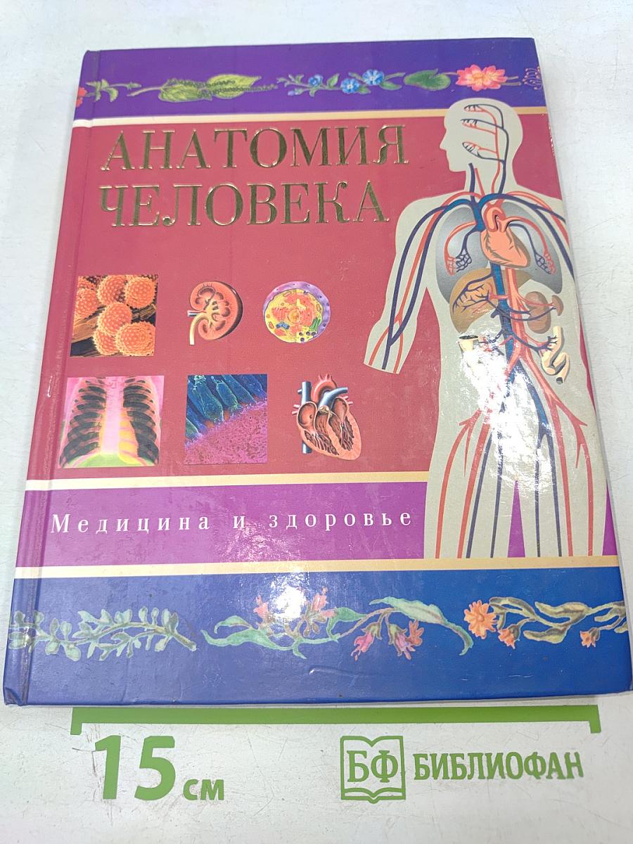 Анатомия человека