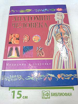 Анатомия человека
