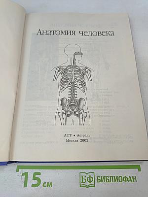 Анатомия человека