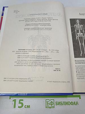 Анатомия человека