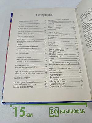 Анатомия человека