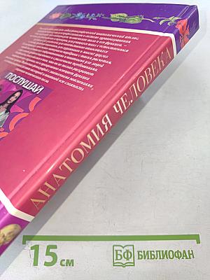 Анатомия человека