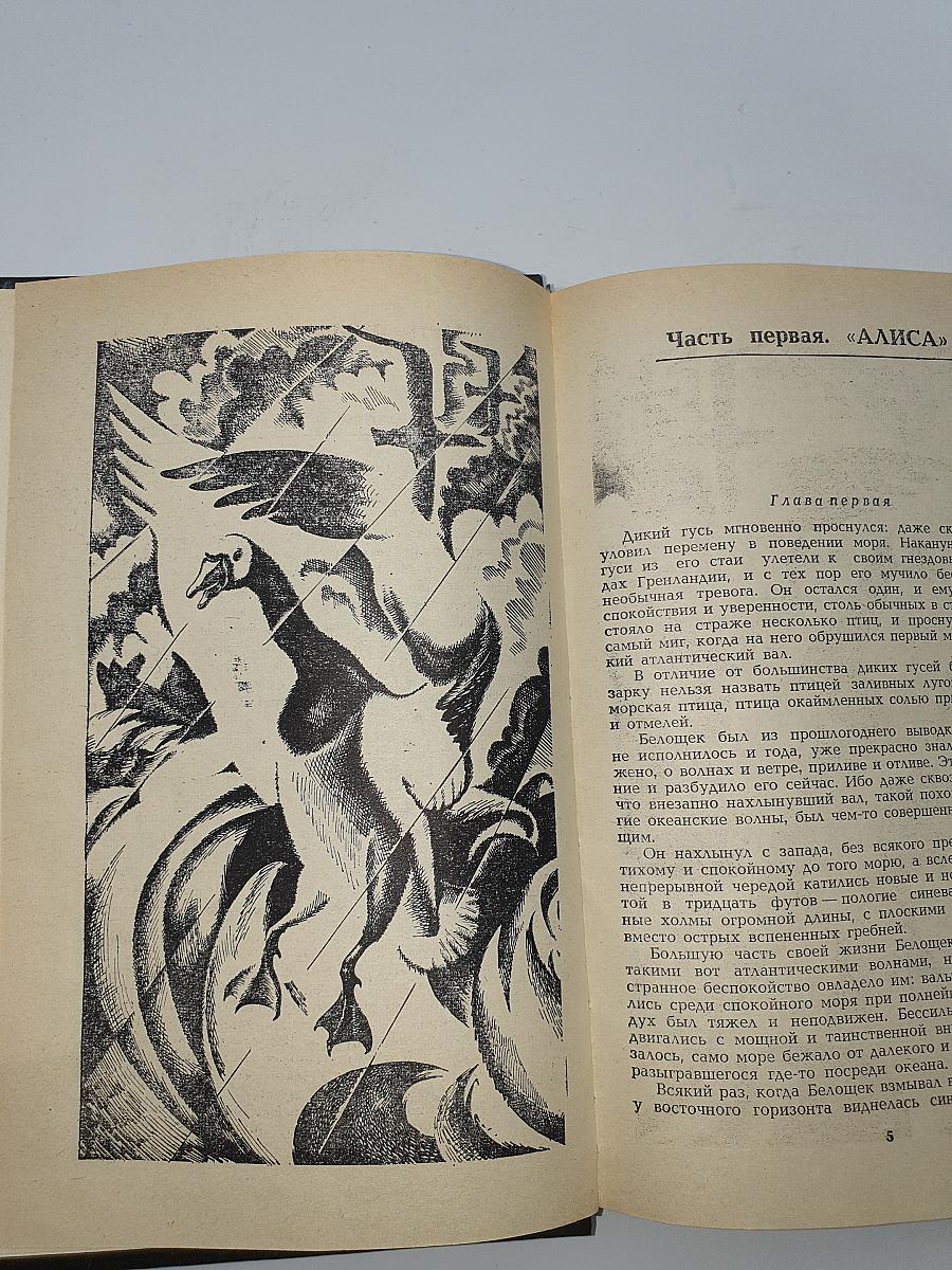 Чужак с острова Барра