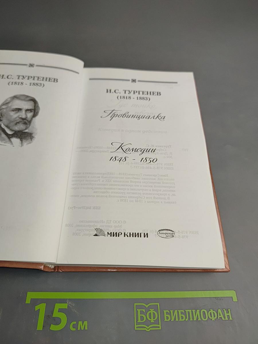 Провинциалка