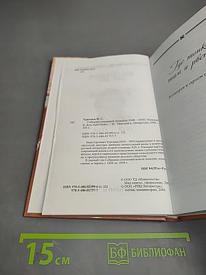 Провинциалка