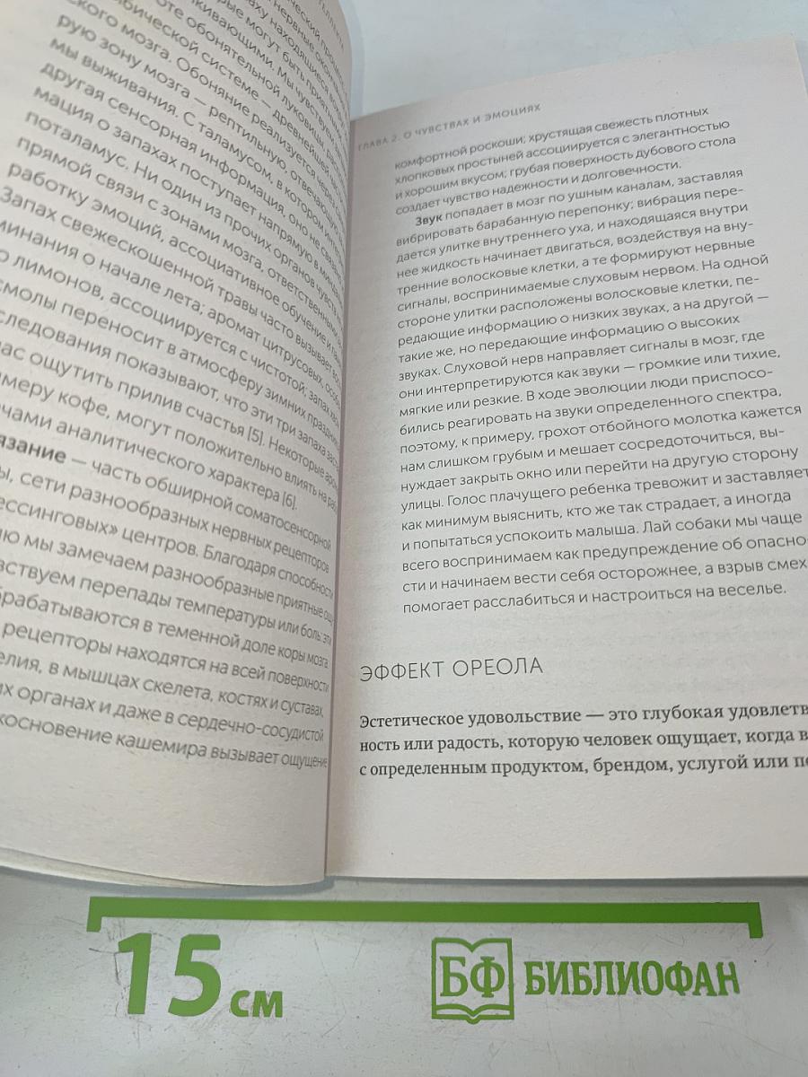 Эстетический интеллект: Как его развивать и использовать в бизнесе и жизни