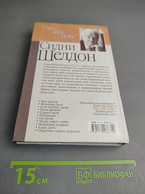 Утро, день, ночь