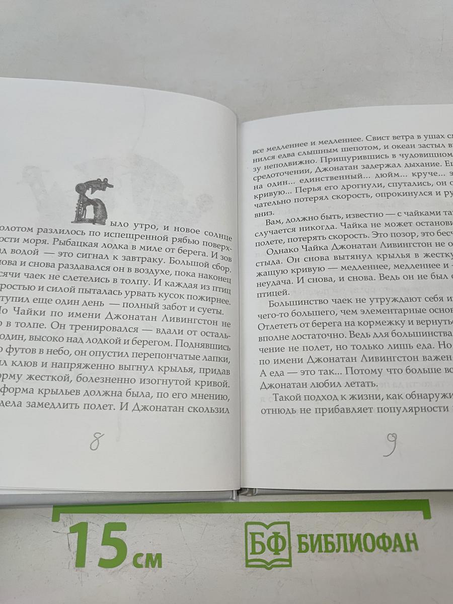Чайка Джонатан Ливингстон