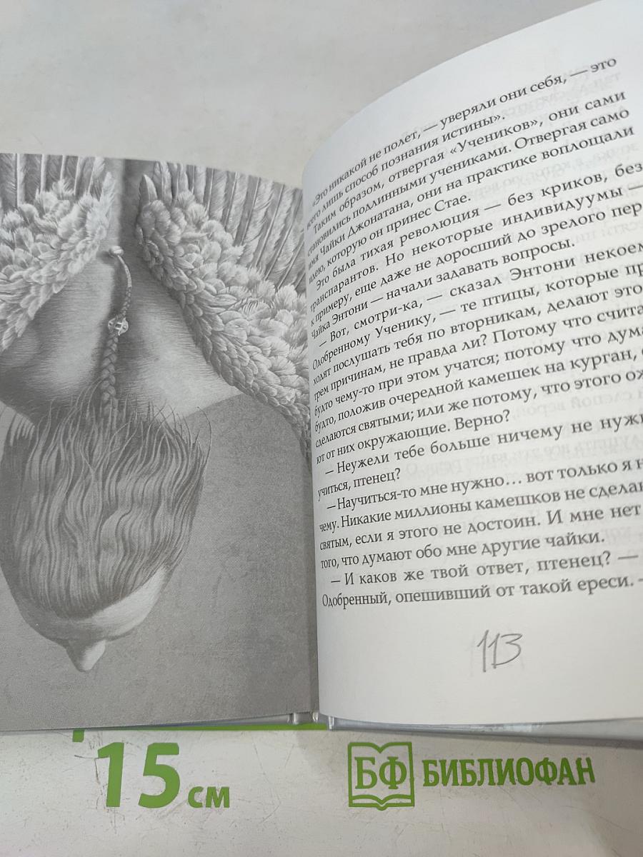 Чайка Джонатан Ливингстон