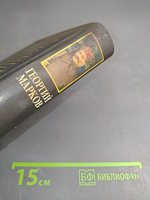 Строговы