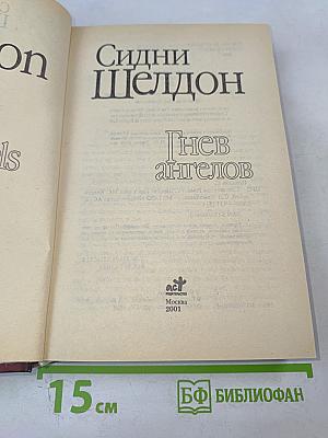Гнев ангелов