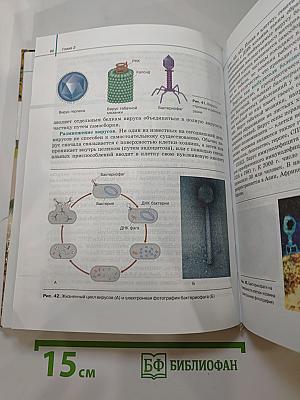 Биология. Общая биология. Базовый уровень. 10-11 классы