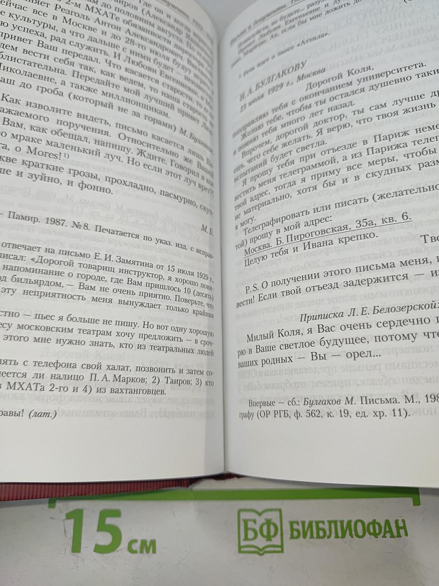 Под пятой. Дневник. Письма и документы