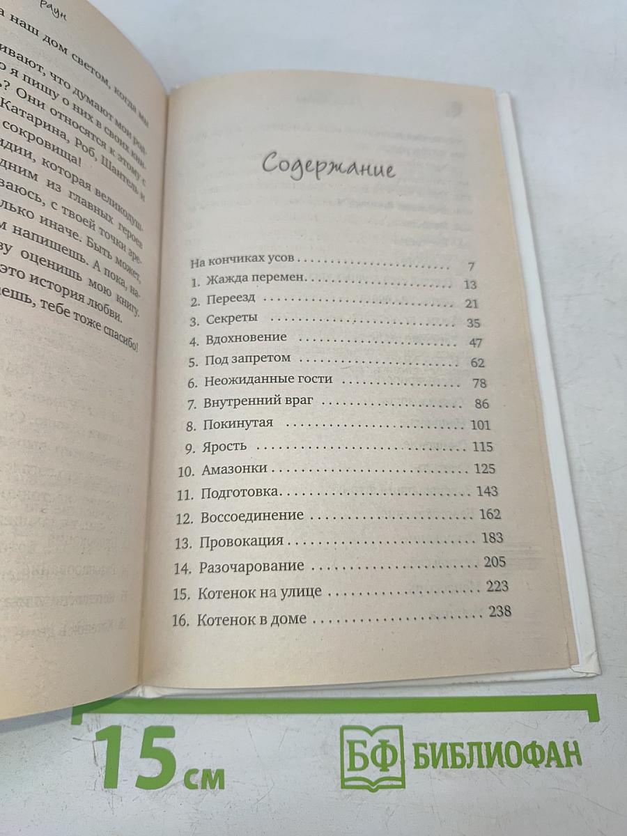 Кошки-дочери