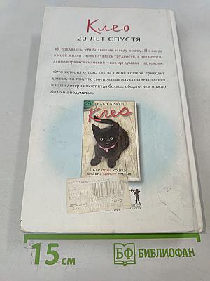 Кошки-дочери