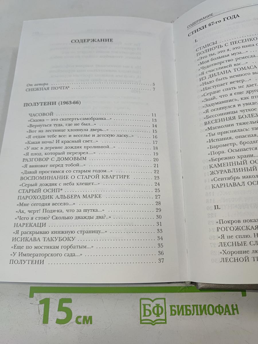 Снежная почта и другие стихотворения