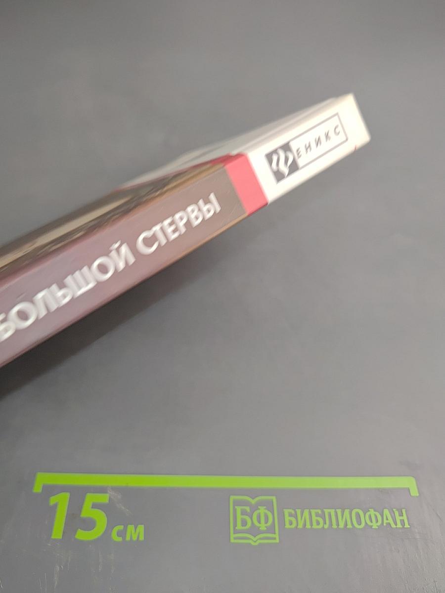 Маленькая книга большой стервы