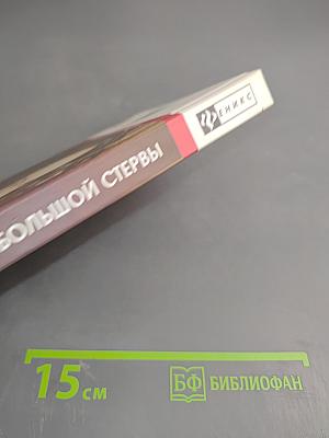 Маленькая книга большой стервы