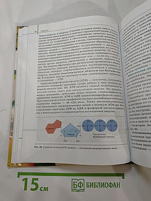 Биология. Общая биология. Базовый уровень. 10-11 классы