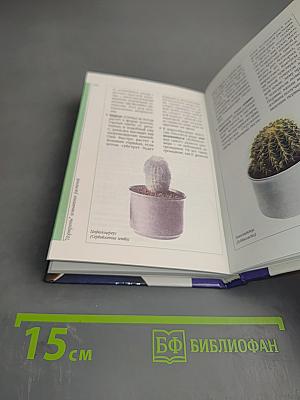 300 советов по уходу за комнатными растениями