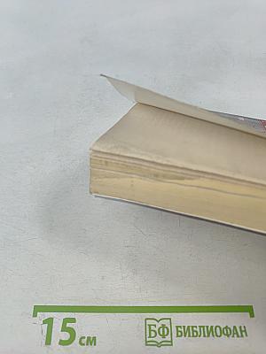 Мисс Совершенство