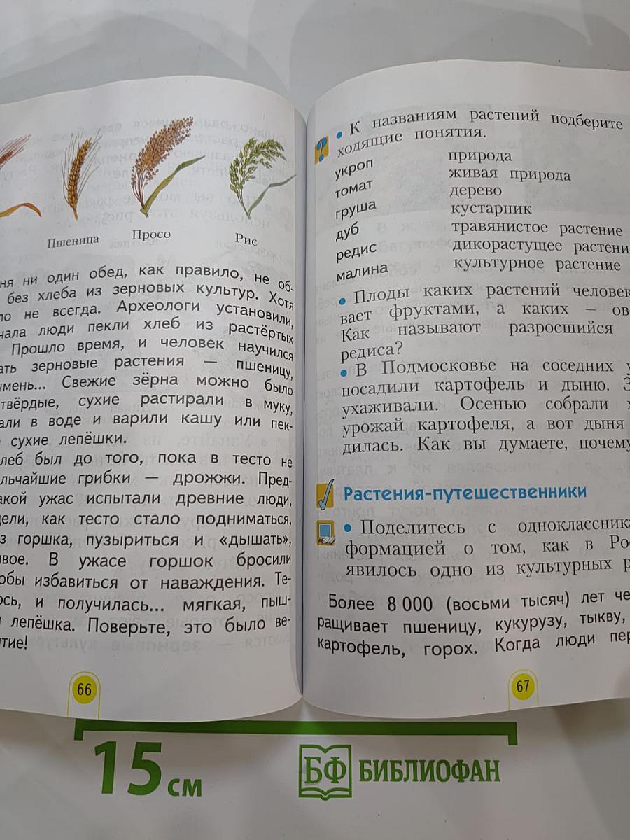 Окружающий мир 2 класс, Часть 2
