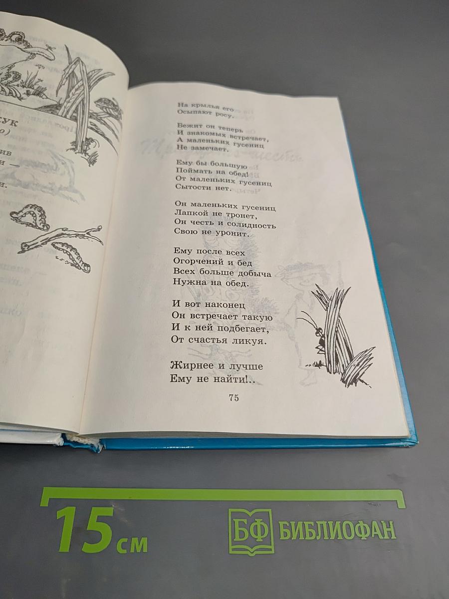 Праздник непослушания