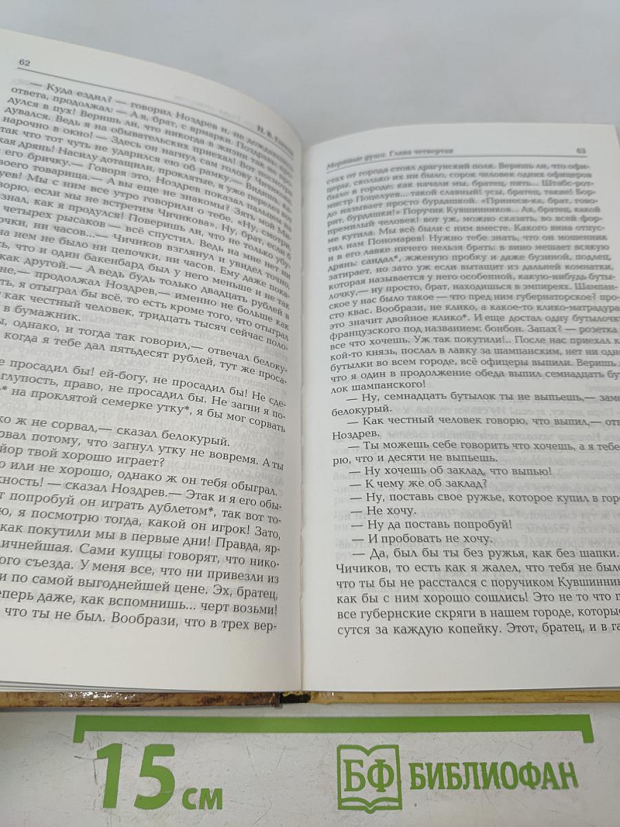 Мертвые души. Том первый