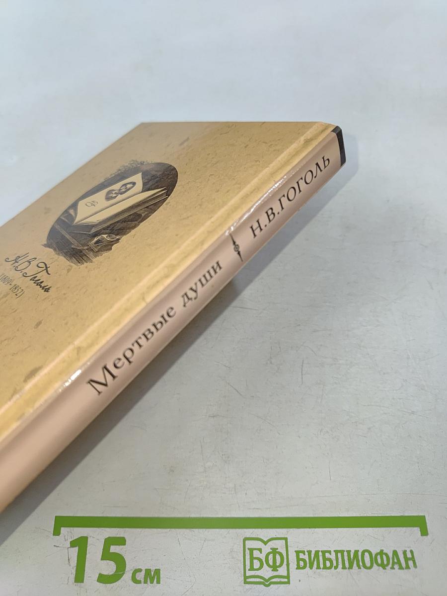 Мертвые души. Том первый