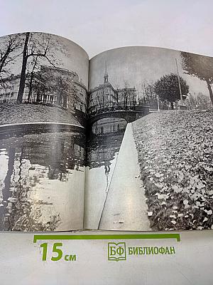 Мосты повисли над водами... / and bridges spanned the waters' width...