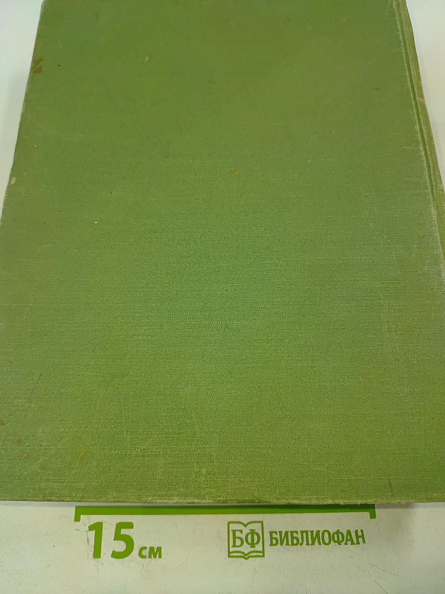 История русского искусства. Том II