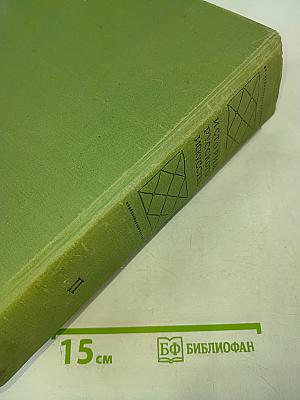 История русского искусства. Том II