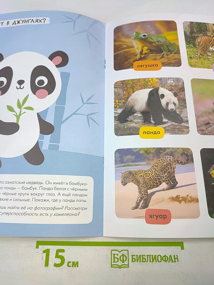 В зоопарке. Базовый курс (2+)