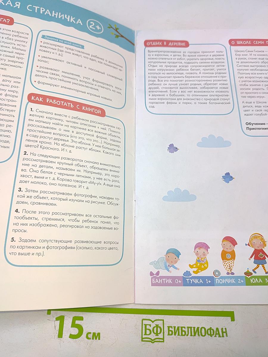 Школа семи гномов. Базовый курс. В деревне