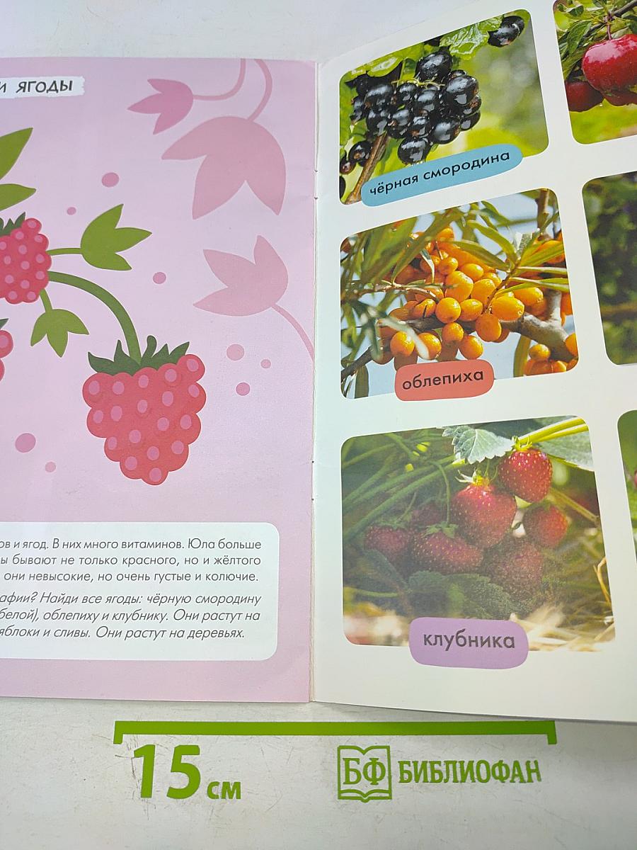 Школа семи гномов. Базовый курс. В деревне