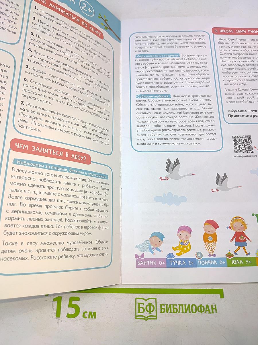 Базовый курс В ЛЕСУ Школа семи гномов